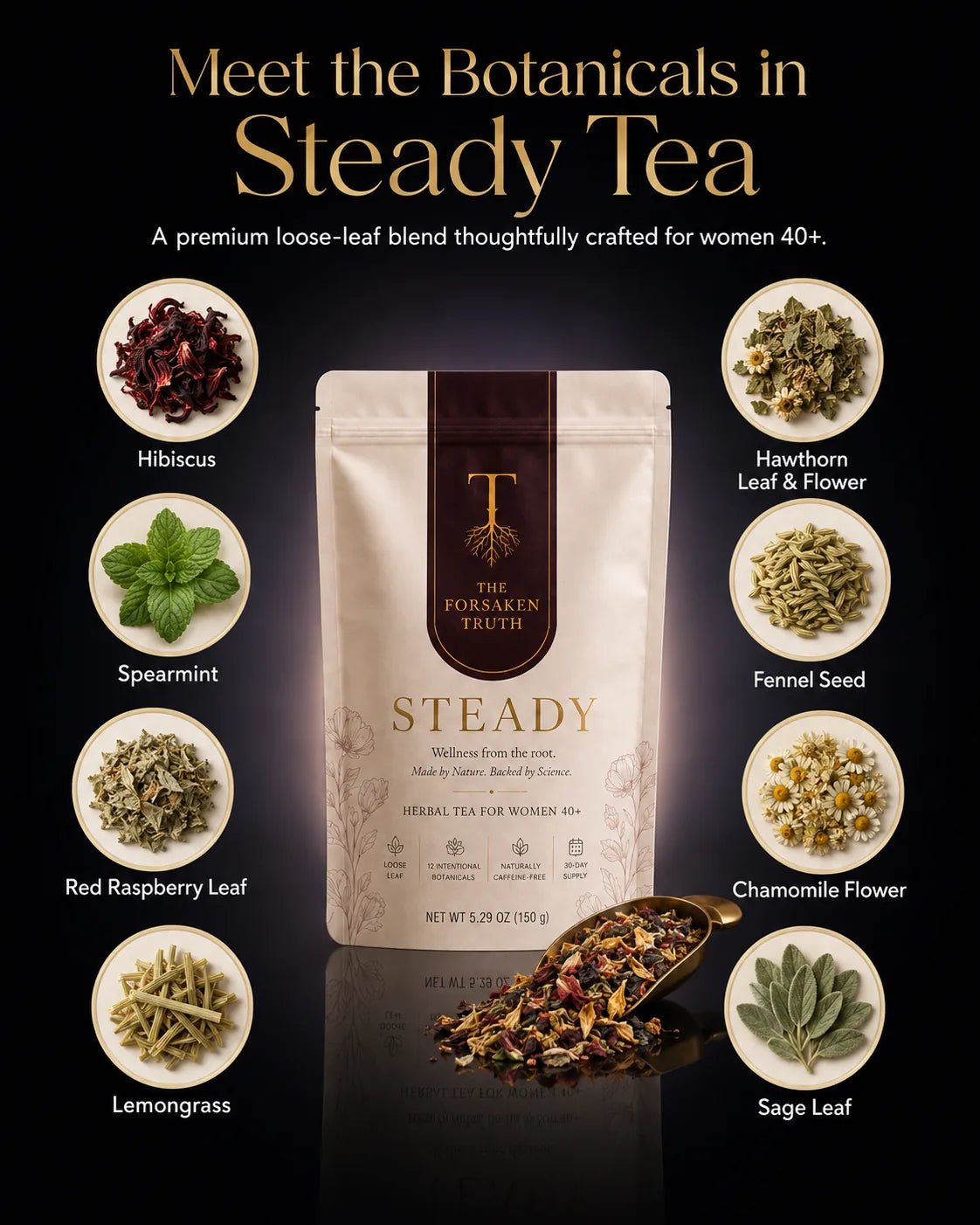Meet the botanicals in STEADY